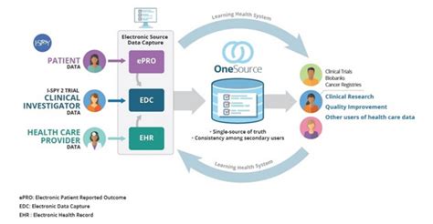 Using the BestDose Clinical Software—Examples With.